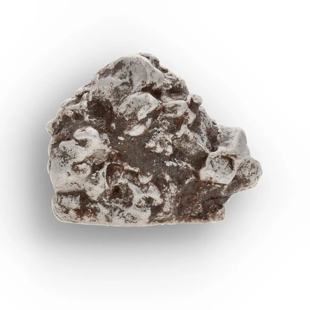 Campo del Cielo Collector Meteorite Piece