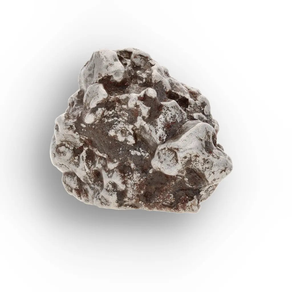 Campo del Cielo Collector Meteorite Piece
