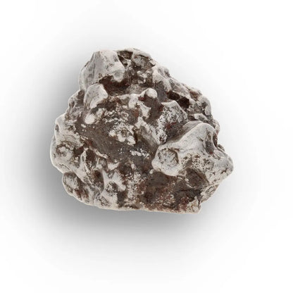 Campo del Cielo Collector Meteorite Piece