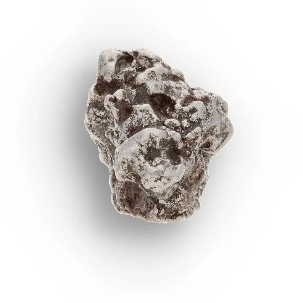 Campo del Cielo Collector Meteorite Piece