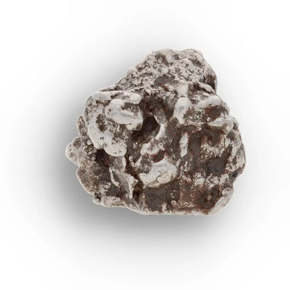 Campo del Cielo Collector Meteorite Piece