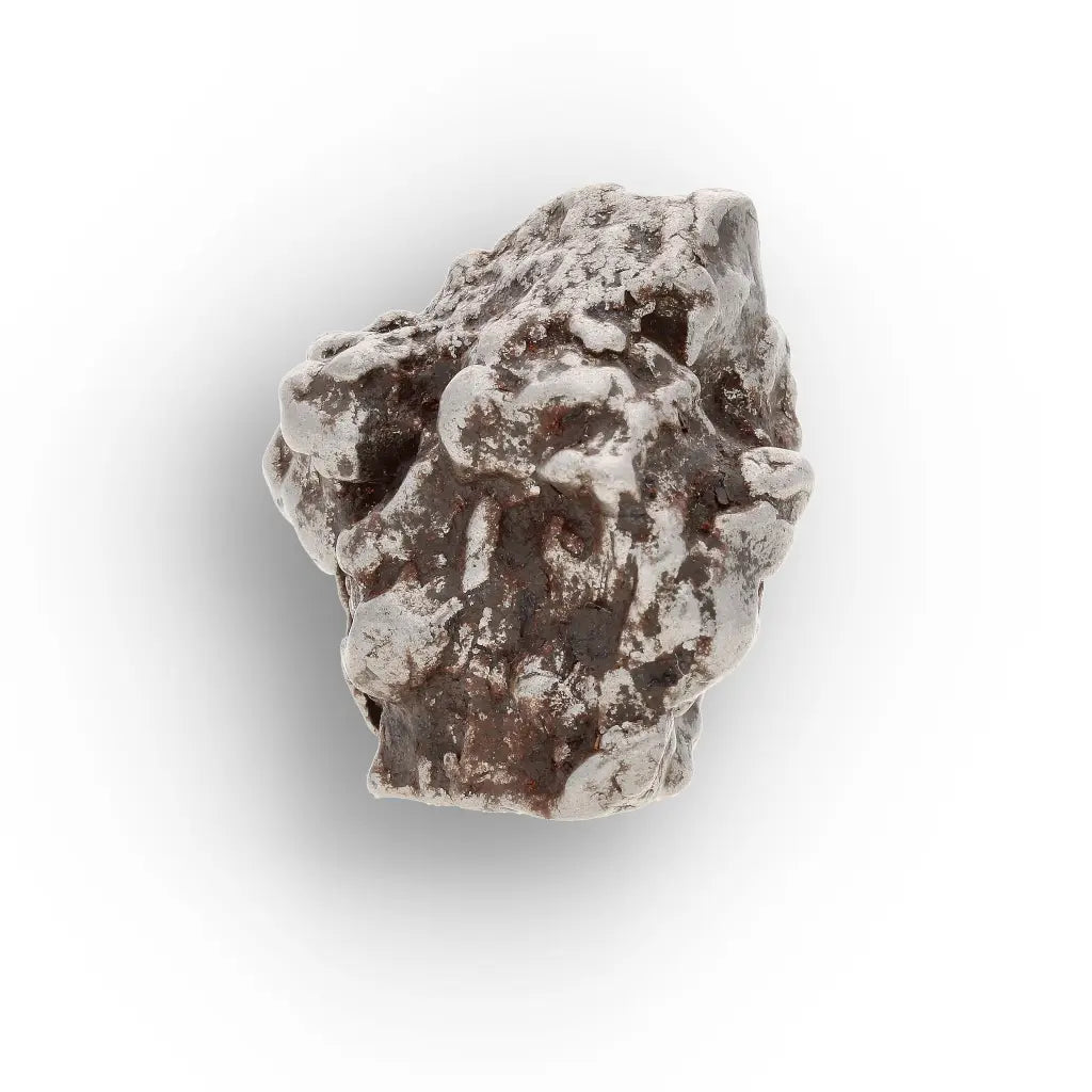 Campo del Cielo Collector Meteorite Piece