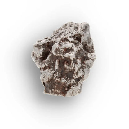 Campo del Cielo Collector Meteorite Piece
