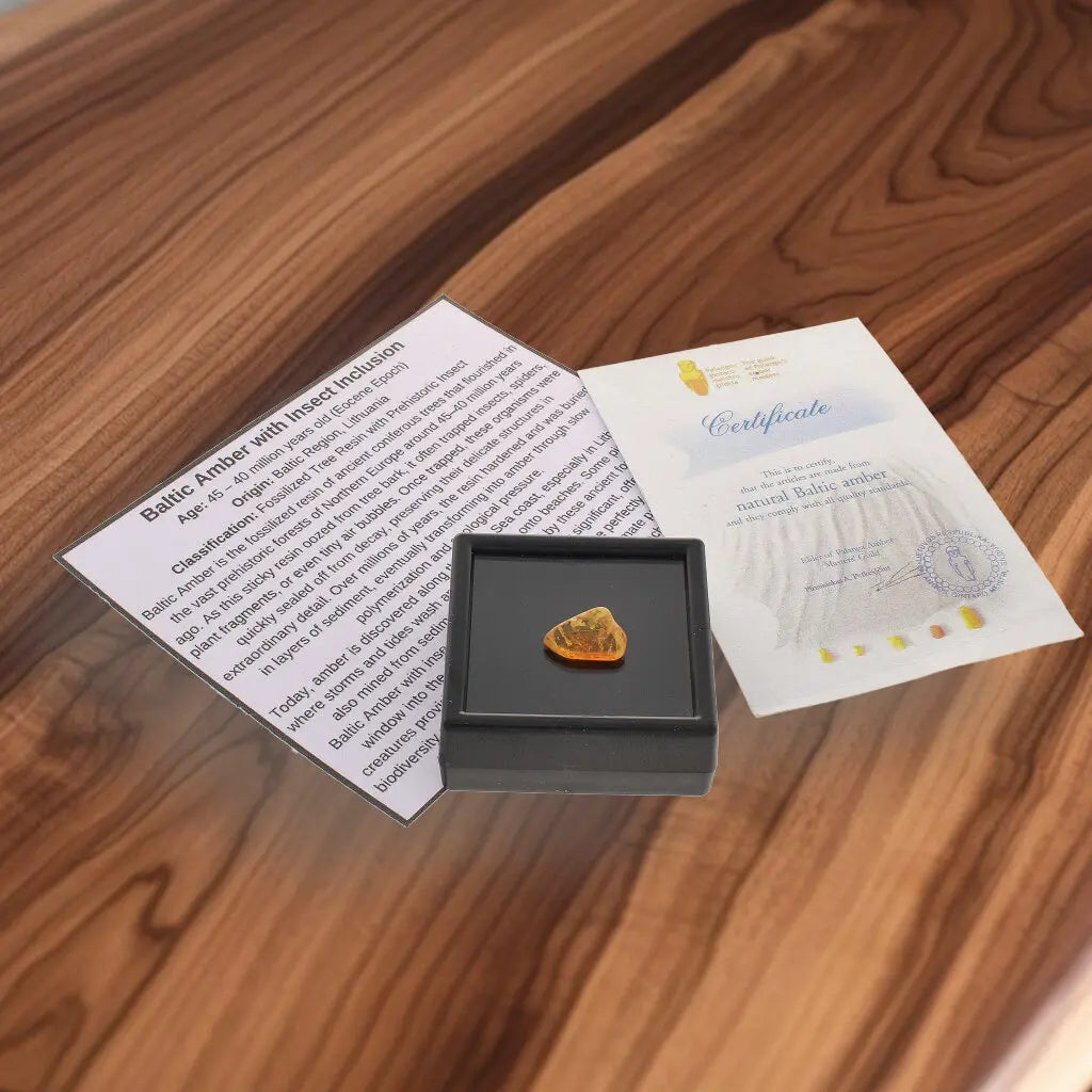 Get your Genuine Baltic Amber Fossil with Insect Inclusion – Europe online now or in store at Forever Gems in Franschhoek, South Africa
