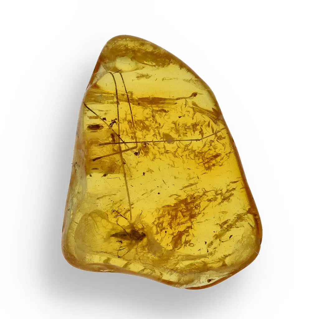 Get your Genuine Baltic Amber Fossil with Insect Inclusion – Europe online now or in store at Forever Gems in Franschhoek, South Africa