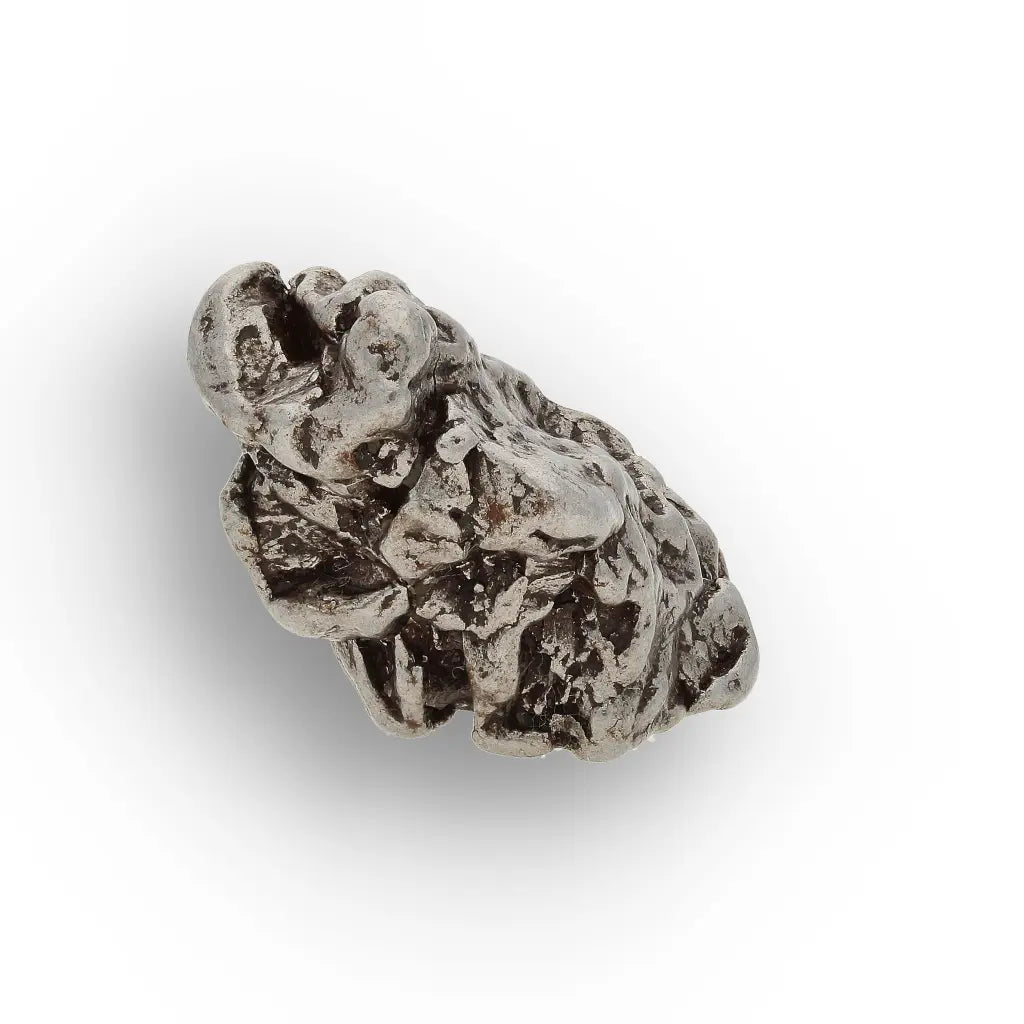 Campo del Cielo Meteorite Collector Grade Iron Specimen