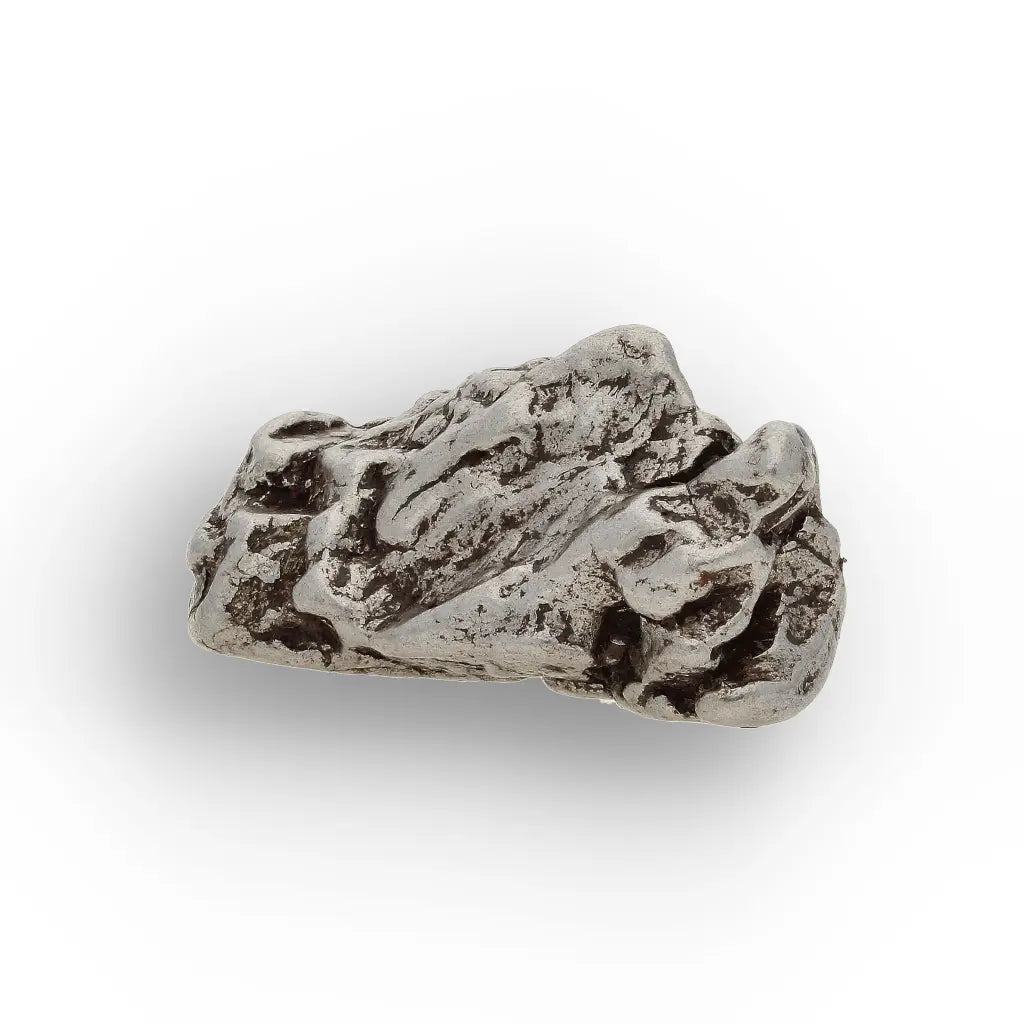 Campo del Cielo Meteorite Collector Grade Iron Specimen