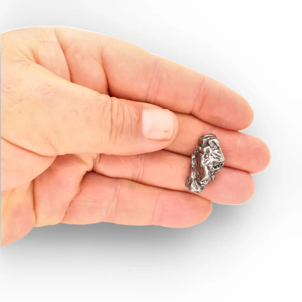 Campo del Cielo Meteorite Collector Grade Iron Specimen
