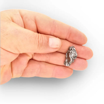 Campo del Cielo Meteorite Collector Grade Iron Specimen