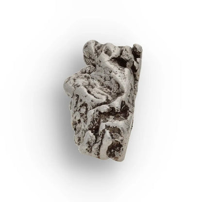Campo del Cielo Meteorite Collector Grade Iron Specimen