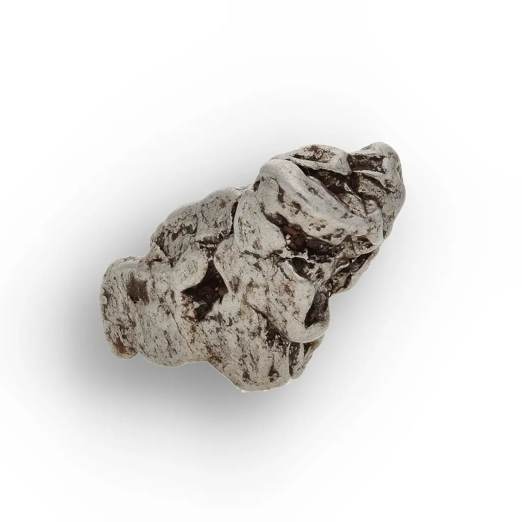 Campo del Cielo Meteorite Collector Grade Iron Specimen