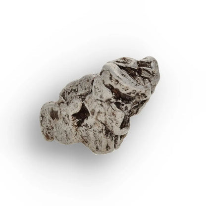 Campo del Cielo Meteorite Collector Grade Iron Specimen