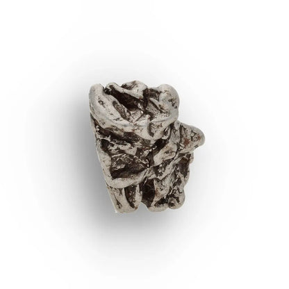 Campo del Cielo Meteorite Collector Grade Iron Specimen