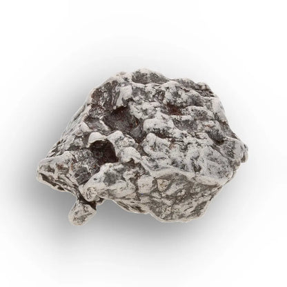 Genuine Campo del Cielo Meteorite Piece