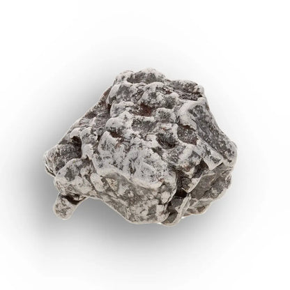 Genuine Campo del Cielo Meteorite Piece