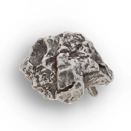 Genuine Campo del Cielo Meteorite Piece