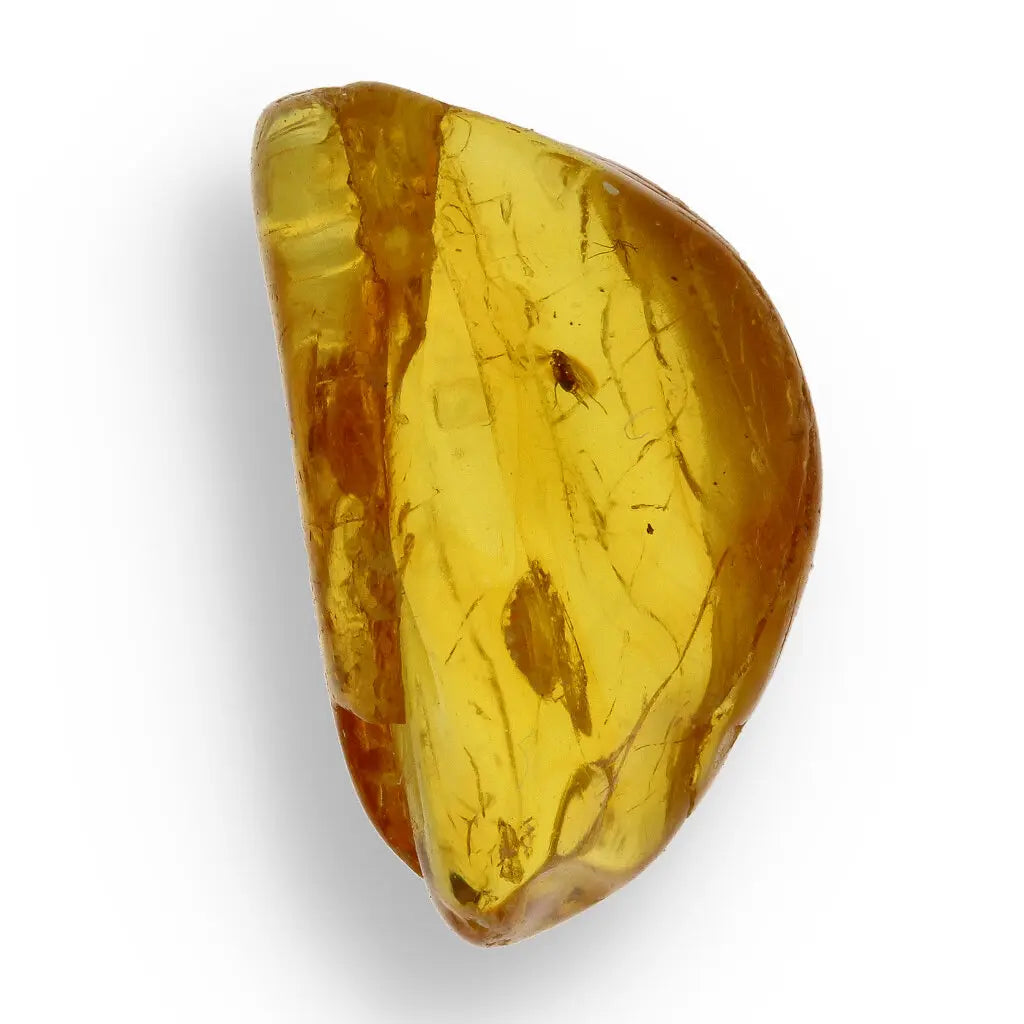 Get your Collector Baltic Amber Fossil with Ancient Insect Inclusion online now or in store at Forever Gems in Franschhoek, South Africa