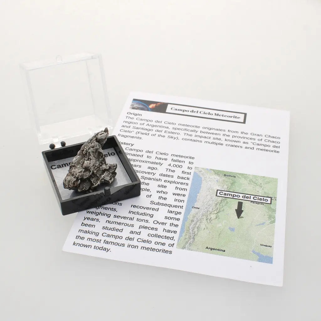 Campo del Cielo Meteorite Specimen Argentina