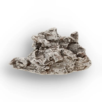 Campo del Cielo Meteorite Specimen Argentina