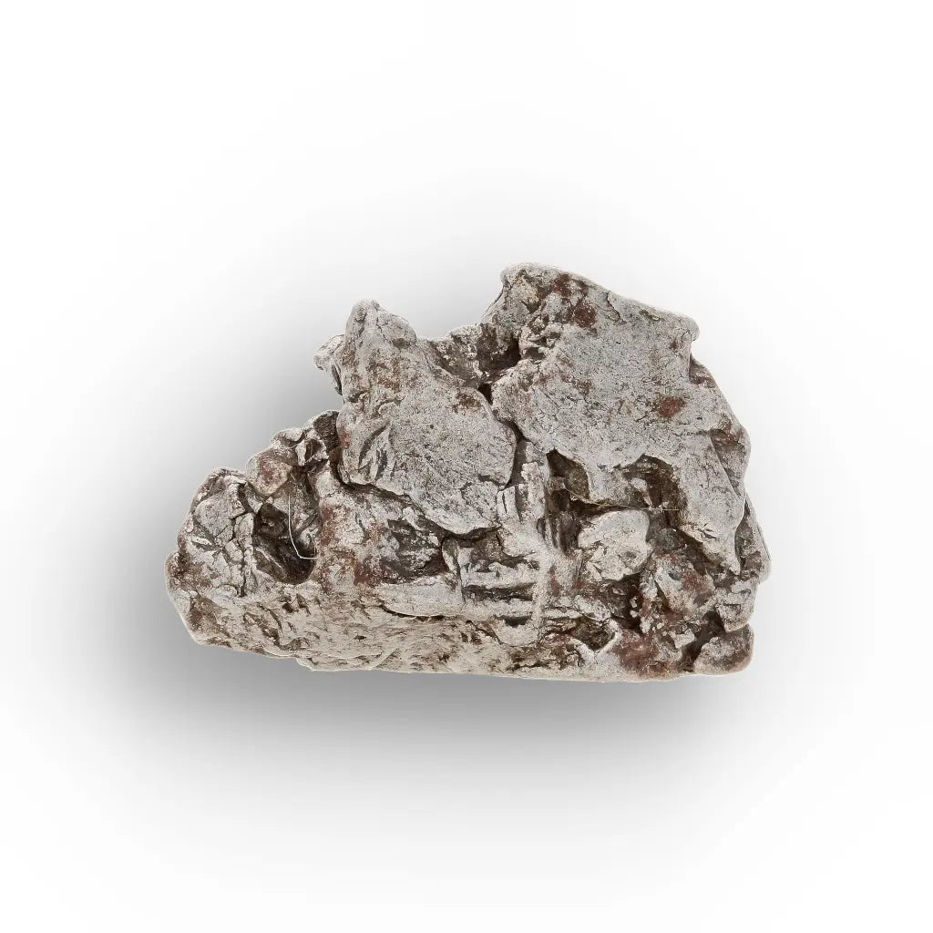 Campo del Cielo Meteorite Specimen Argentina