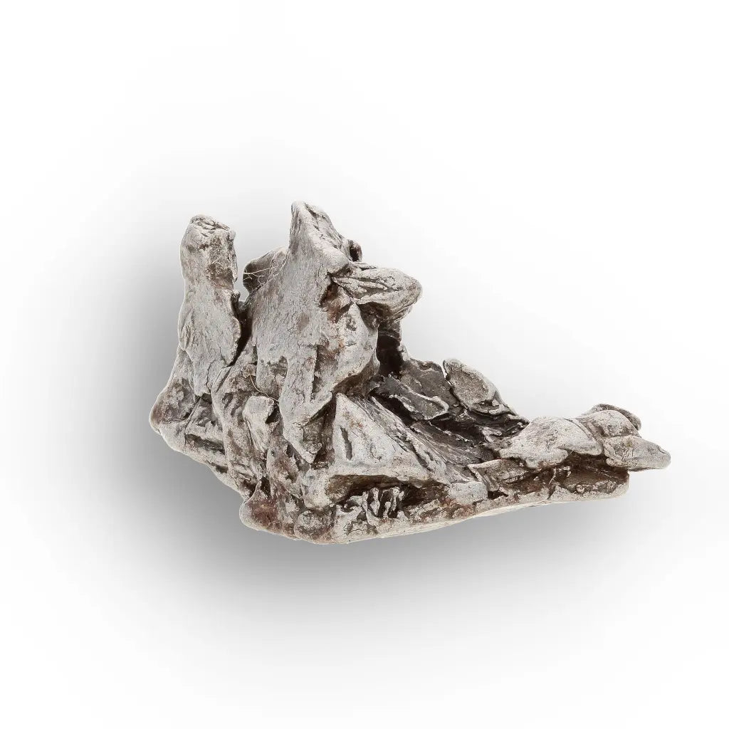 Campo del Cielo Meteorite Specimen Argentina