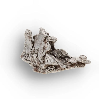 Campo del Cielo Meteorite Specimen Argentina