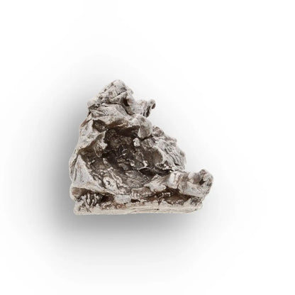 Campo del Cielo Meteorite Specimen Argentina