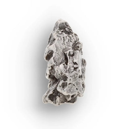 Campo del Cielo Nickel Iron Meteorite