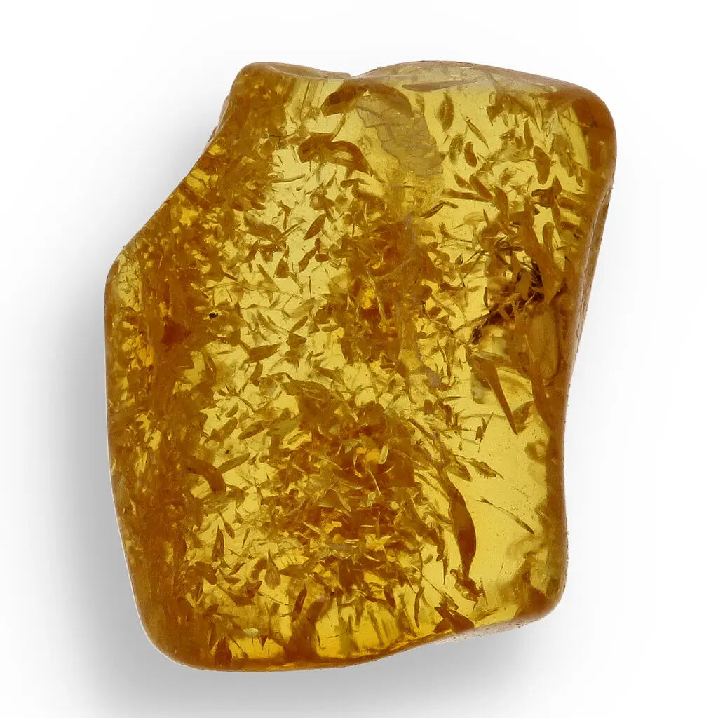 Get your Collector Grade Baltic Amber Insect Inclusion Fossil Europe online now or in store at Forever Gems in Franschhoek, South Africa