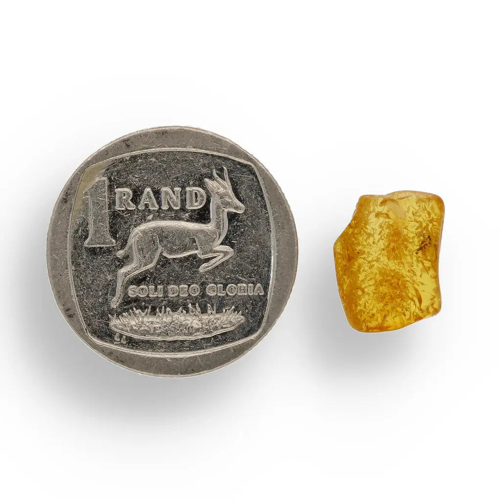 Get your Collector Grade Baltic Amber Insect Inclusion Fossil Europe online now or in store at Forever Gems in Franschhoek, South Africa