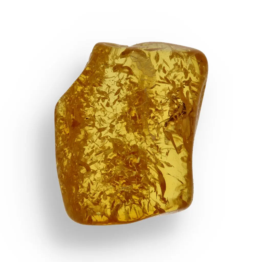 Get your Collector Grade Baltic Amber Insect Inclusion Fossil Europe online now or in store at Forever Gems in Franschhoek, South Africa