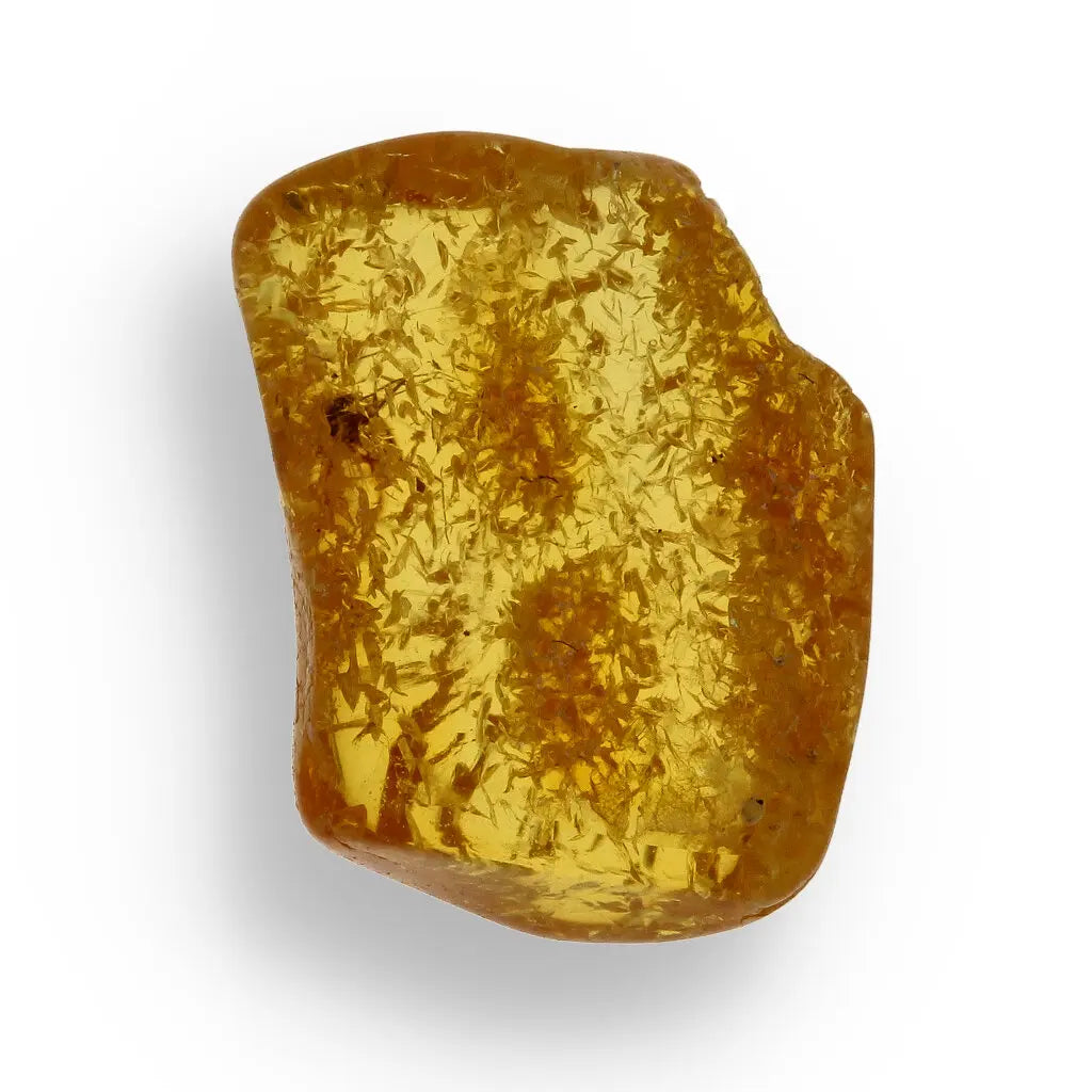 Get your Collector Grade Baltic Amber Insect Inclusion Fossil Europe online now or in store at Forever Gems in Franschhoek, South Africa