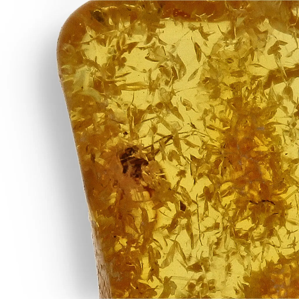 Get your Collector Grade Baltic Amber Insect Inclusion Fossil Europe online now or in store at Forever Gems in Franschhoek, South Africa