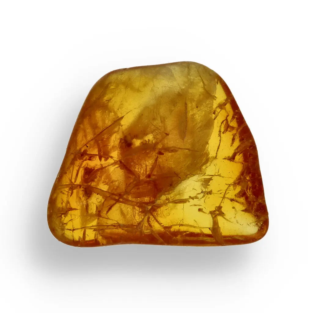 Get your Genuine Baltic Region Amber Fossil with Insect Inclusion online now or in store at Forever Gems in Franschhoek, South Africa