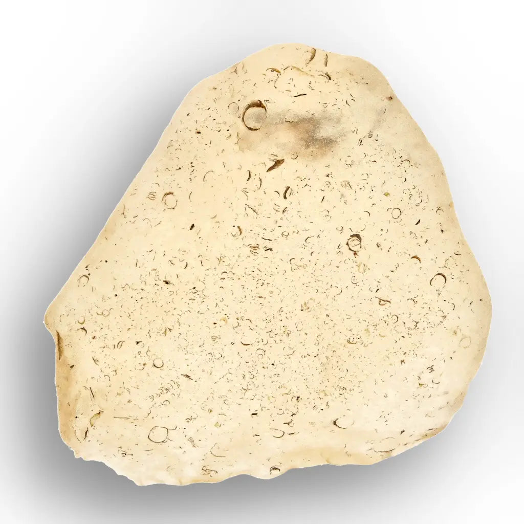 Get your 4.0g Natural Libyan Desert Glass Collector's Specimen online now or in store at Forever Gems in Franschhoek, South Africa
