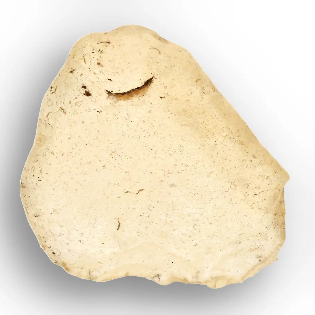 Get your 4.0g Natural Libyan Desert Glass Collector's Specimen online now or in store at Forever Gems in Franschhoek, South Africa