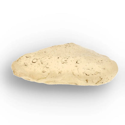 Get your 4.0g Natural Libyan Desert Glass Collector's Specimen online now or in store at Forever Gems in Franschhoek, South Africa