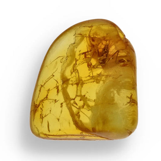 Get your Authentic Baltic Amber Fossil Insect Inclusion for Collectors online now or in store at Forever Gems in Franschhoek, South Africa