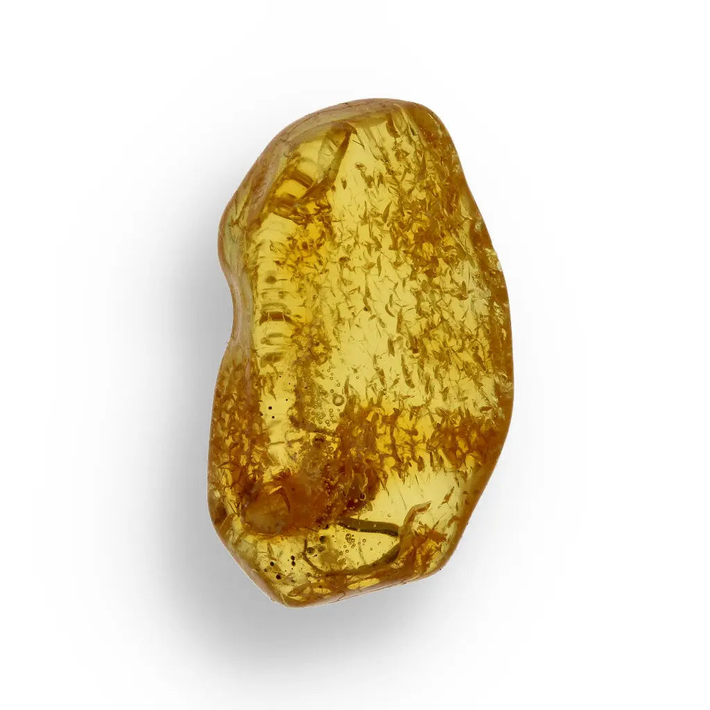 Get your European Baltic Amber Fossil with Naturally Preserved Insect online now or in store at Forever Gems in Franschhoek, South Africa