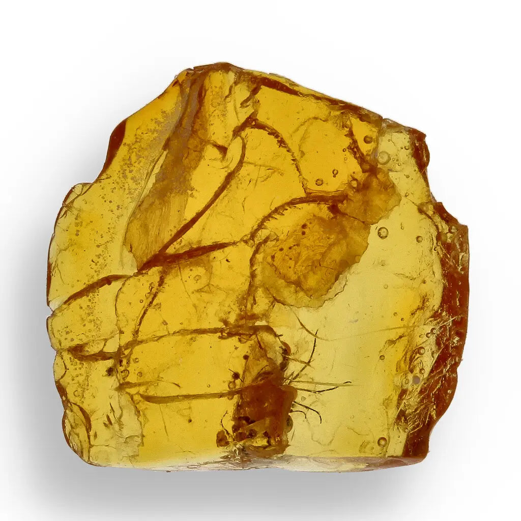 Get your Museum Quality Baltic Amber Fossil Insect Inclusion Europe online now or in store at Forever Gems in Franschhoek, South Africa