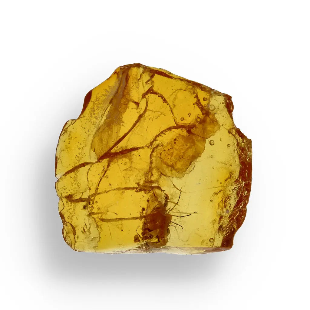 Get your Museum Quality Baltic Amber Fossil Insect Inclusion Europe online now or in store at Forever Gems in Franschhoek, South Africa