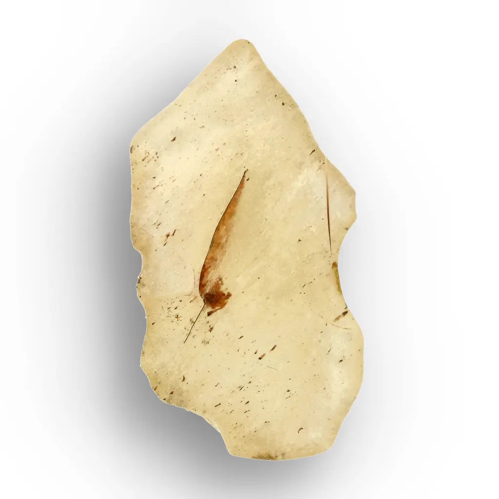 4.9g Natural Libyan Desert Glass Collector's Specimen