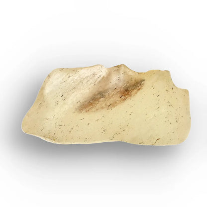 4.9g Natural Libyan Desert Glass Collector's Specimen
