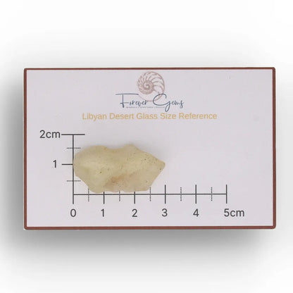 4.9g Natural Libyan Desert Glass Collector's Specimen