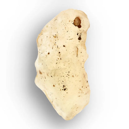 3.1g Natural Libyan Desert Glass Collector's Specimen