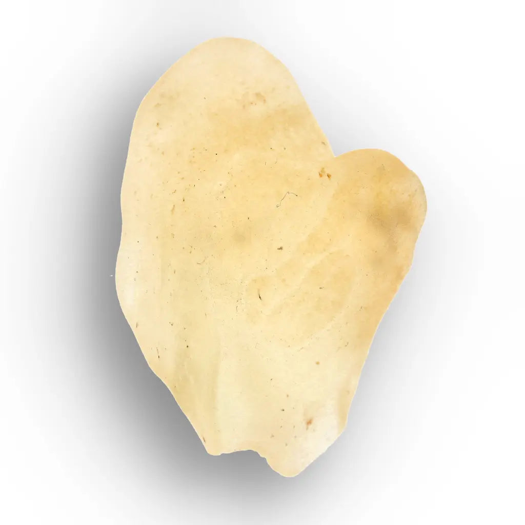 4.8g Natural Libyan Desert Glass Collector's Specimen