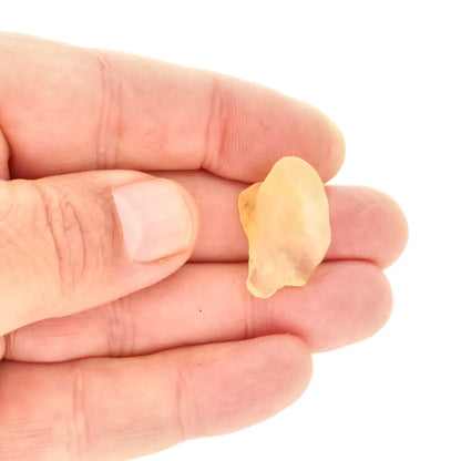 4.8g Natural Libyan Desert Glass Collector's Specimen