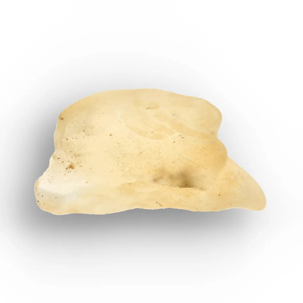 4.8g Natural Libyan Desert Glass Collector's Specimen