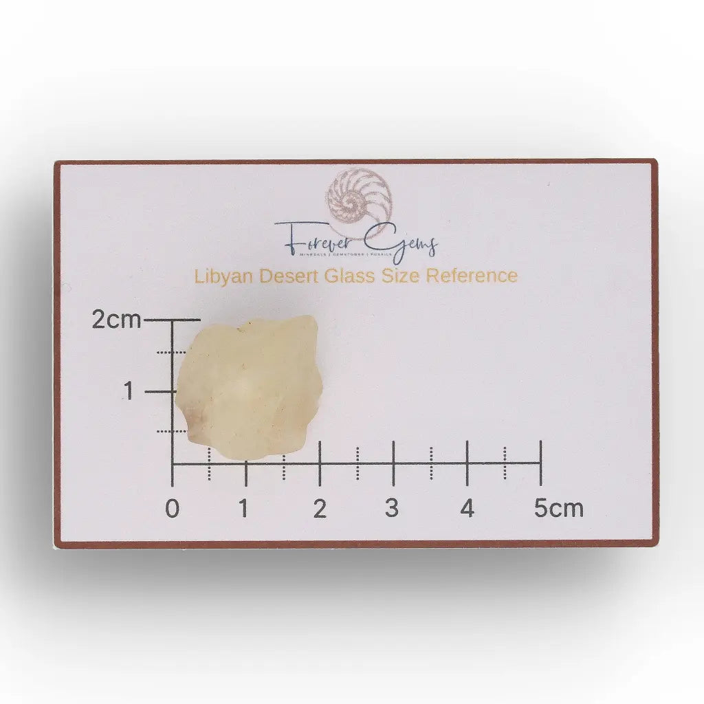 7.3g Natural Libyan Desert Glass Collector's Specimen