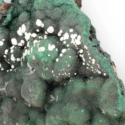 Aragonite on Botryoidal Malachite from the Katanga Copperbelt, DRC